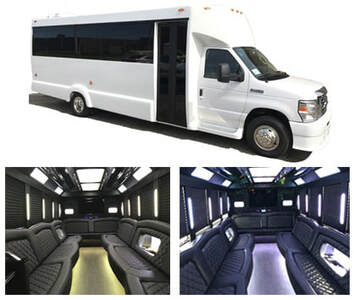 Airport Limo Coach Bus