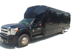 Chicago Cubs Party Limo Bus rental